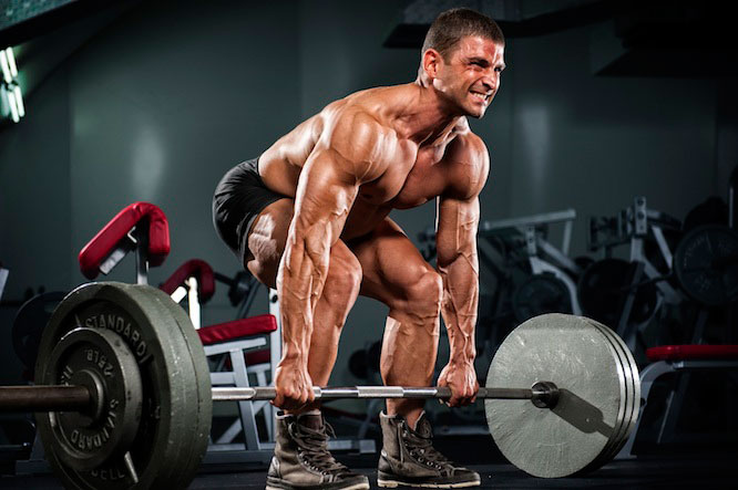Build Your Body With Deca-Durabolin One Of The Top 10 Anabolic Steroids
